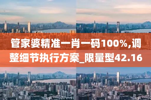 管家婆精准一肖一码100%,调整细节执行方案_限量型42.16