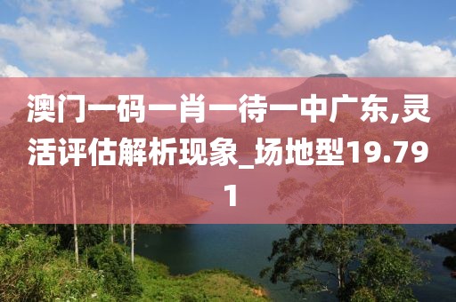 澳门一码一肖一待一中广东,灵活评估解析现象_场地型19.791