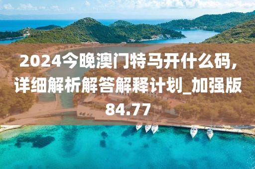 2024今晚澳门特马开什么码,详细解析解答解释计划_加强版84.77