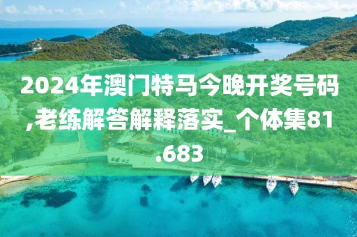 2024年澳门特马今晚开奖号码,老练解答解释落实_个体集81.683