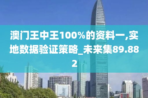 澳门王中王100%的资料一,实地数据验证策略_未来集89.882
