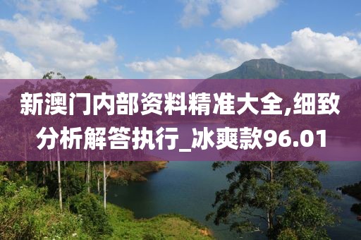 新澳门内部资料精准大全,细致分析解答执行_冰爽款96.01