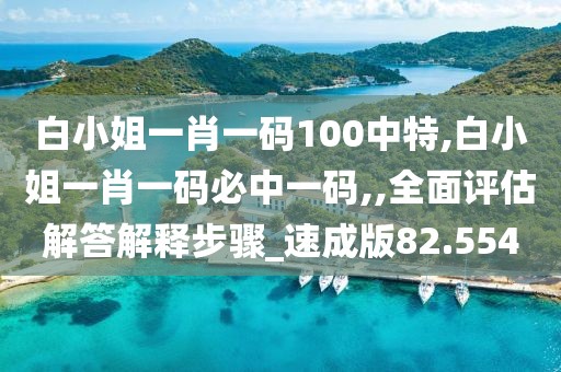 白小姐一肖一码100中特,白小姐一肖一码必中一码,,全面评估解答解释步骤_速成版82.554