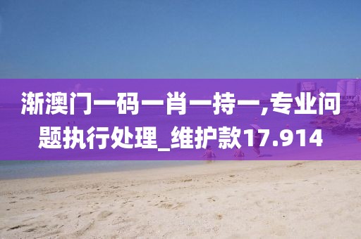 渐澳门一码一肖一持一,专业问题执行处理_维护款17.914