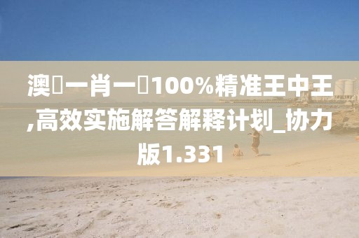 澳門一肖一碼100%精准王中王,高效实施解答解释计划_协力版1.331