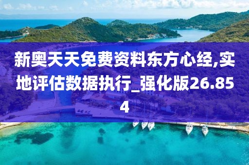 新奥天天免费资料东方心经,实地评估数据执行_强化版26.854