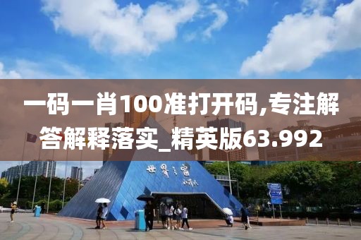 一码一肖100准打开码,专注解答解释落实_精英版63.992