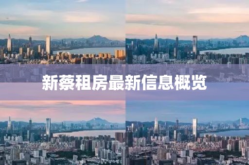 新蔡租房最新信息概览
