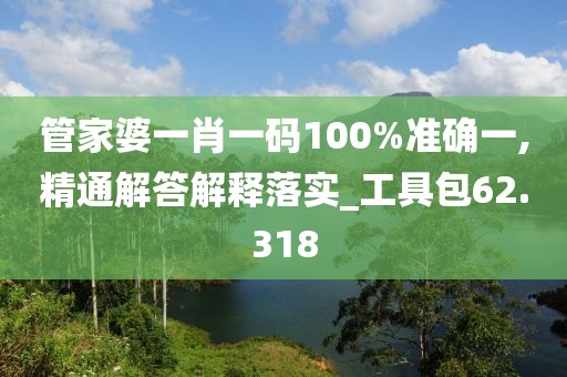 管家婆一肖一码100%准确一,精通解答解释落实_工具包62.318