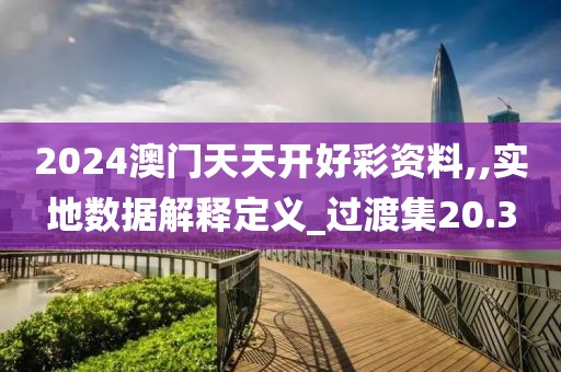 2024澳门天天开好彩资料,,实地数据解释定义_过渡集20.3
