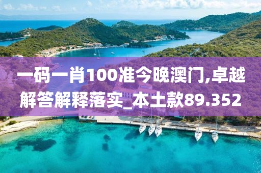 一码一肖100准今晚澳门,卓越解答解释落实_本土款89.352