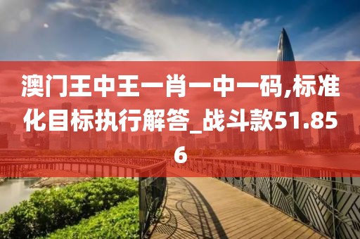 澳门王中王一肖一中一码,标准化目标执行解答_战斗款51.856