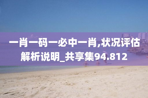 一肖一码一必中一肖,状况评估解析说明_共享集94.812