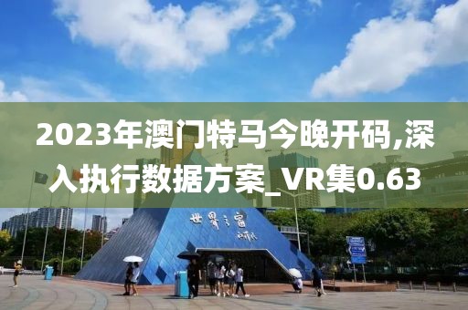 2023年澳门特马今晚开码,深入执行数据方案_VR集0.63