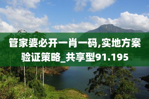 管家婆必开一肖一码,实地方案验证策略_共享型91.195