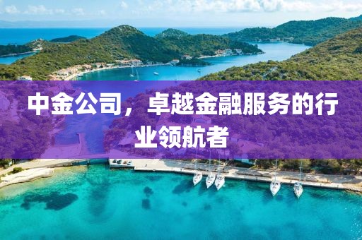 中金公司，卓越金融服务的行业领航者