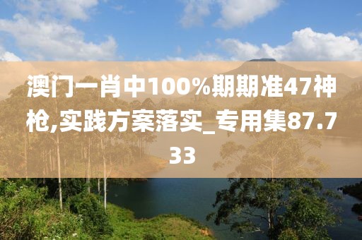 澳门一肖中100%期期准47神枪,实践方案落实_专用集87.733