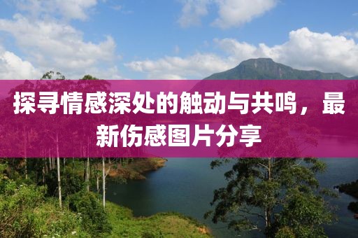 探寻情感深处的触动与共鸣，最新伤感图片分享