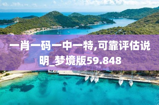 一肖一码一中一特,可靠评估说明_梦境版59.848