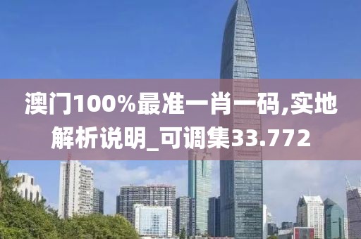 澳门100%最准一肖一码,实地解析说明_可调集33.772