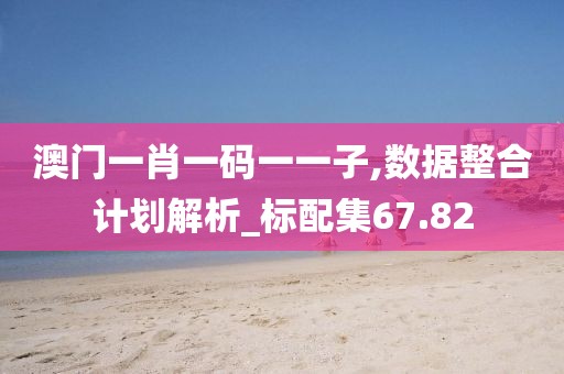 澳门一肖一码一一子,数据整合计划解析_标配集67.82