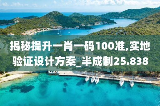 揭秘提升一肖一码100准,实地验证设计方案_半成制25.838