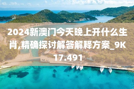 2024新澳门今天晚上开什么生肖,精确探讨解答解释方案_9K17.491