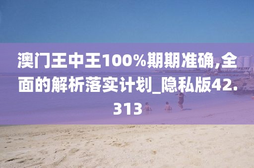 澳门王中王100%期期准确,全面的解析落实计划_隐私版42.313