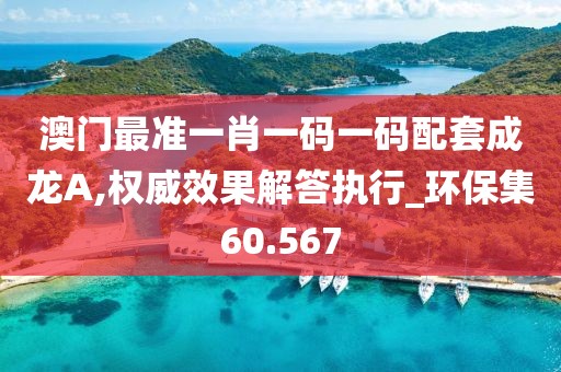 澳门最准一肖一码一码配套成龙A,权威效果解答执行_环保集60.567