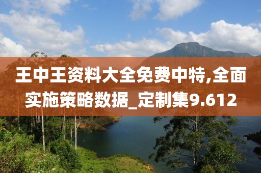 王中王资料大全免费中特,全面实施策略数据_定制集9.612