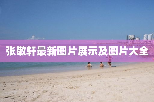 张敬轩最新图片展示及图片大全