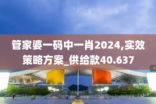 管家婆一码中一肖2024,实效策略方案_供给款40.637