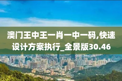 澳门王中王一肖一中一码,快速设计方案执行_全景版30.46