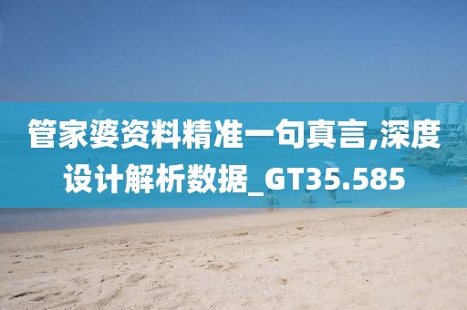 管家婆资料精准一句真言,深度设计解析数据_GT35.585