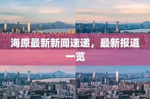 海原最新新闻速递，最新报道一览