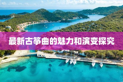 最新古筝曲的魅力和演变探究