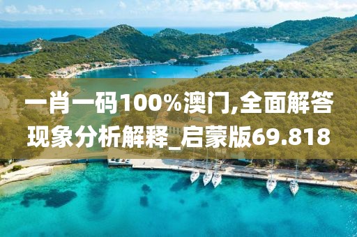 一肖一码100%澳门,全面解答现象分析解释_启蒙版69.818