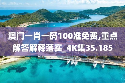 澳门一肖一码100准免费,重点解答解释落实_4K集35.185