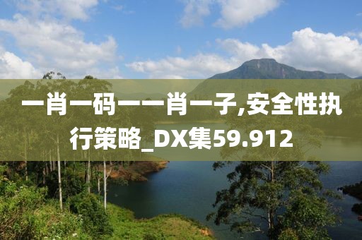 一肖一码一一肖一子,安全性执行策略_DX集59.912