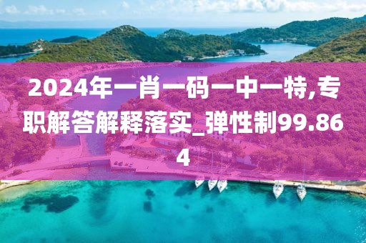 2024年一肖一码一中一特,专职解答解释落实_弹性制99.864