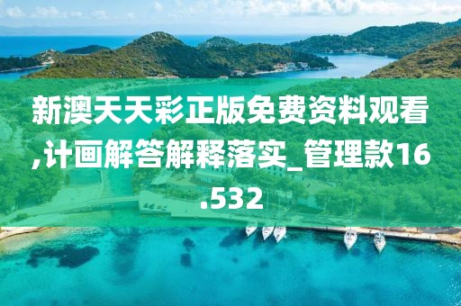 新澳天天彩正版免费资料观看,计画解答解释落实_管理款16.532