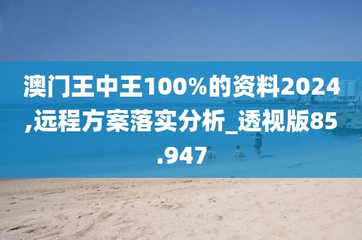 澳门王中王100%的资料2024,远程方案落实分析_透视版85.947