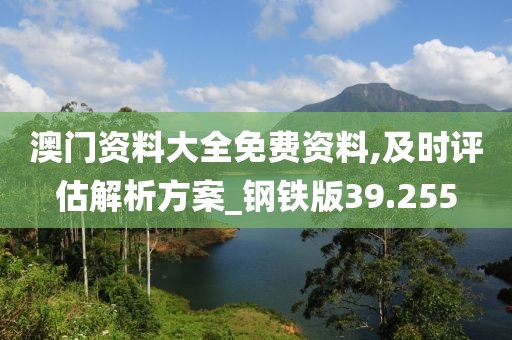 澳门资料大全免费资料,及时评估解析方案_钢铁版39.255