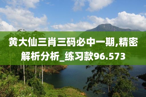 黄大仙三肖三码必中一期,精密解析分析_练习款96.573