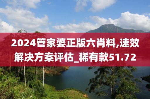 2024管家婆正版六肖料,速效解决方案评估_稀有款51.72