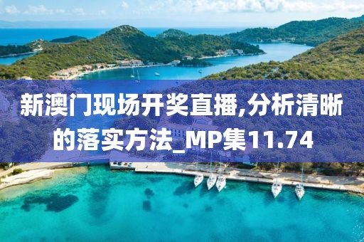 新澳门现场开奖直播,分析清晰的落实方法_MP集11.74