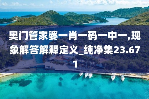 奥门管家婆一肖一码一中一,现象解答解释定义_纯净集23.671
