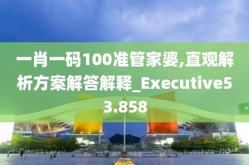 一肖一码100准管家婆,直观解析方案解答解释_Executive53.858