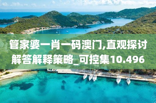 管家婆一肖一码澳门,直观探讨解答解释策略_可控集10.496