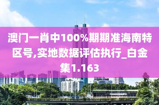 澳门一肖中100%期期准海南特区号,实地数据评估执行_白金集1.163